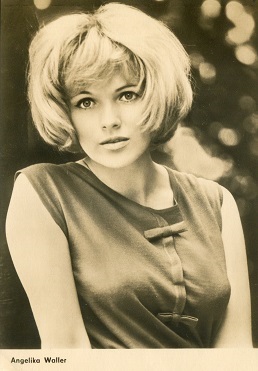 �������� ������